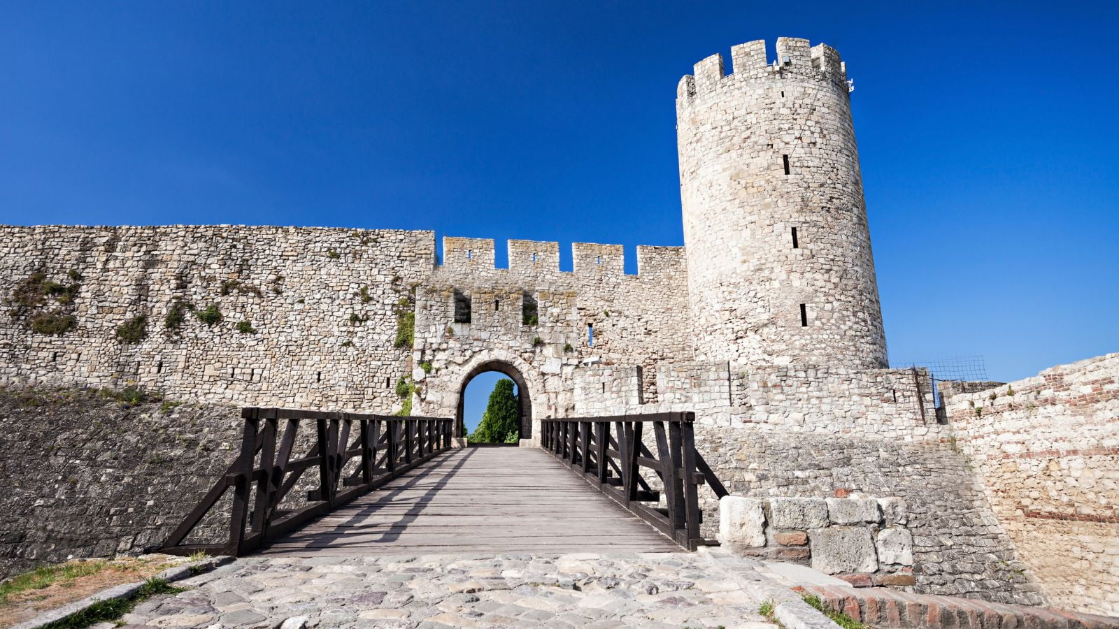 Financial Advice - Financial Fortress